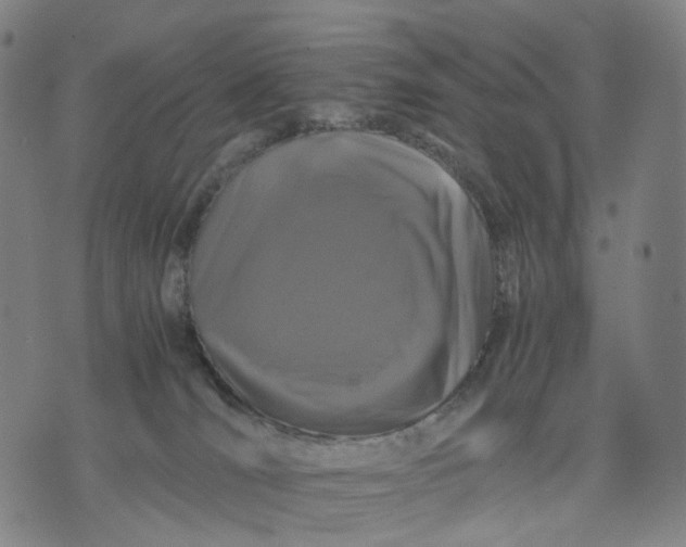 X0000071780036200607211608