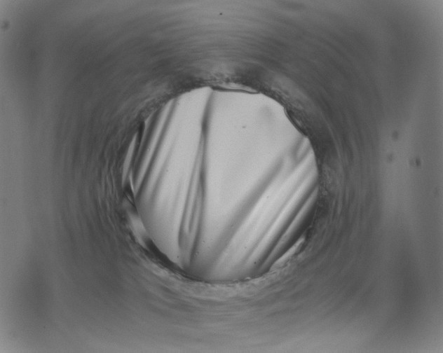 X0000071780037200607211608