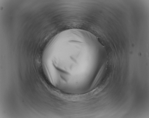 X0000071780040200607211608