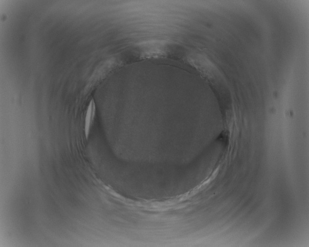 X0000071780041200607211608