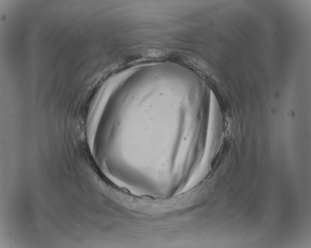 X0000071780043200607211608