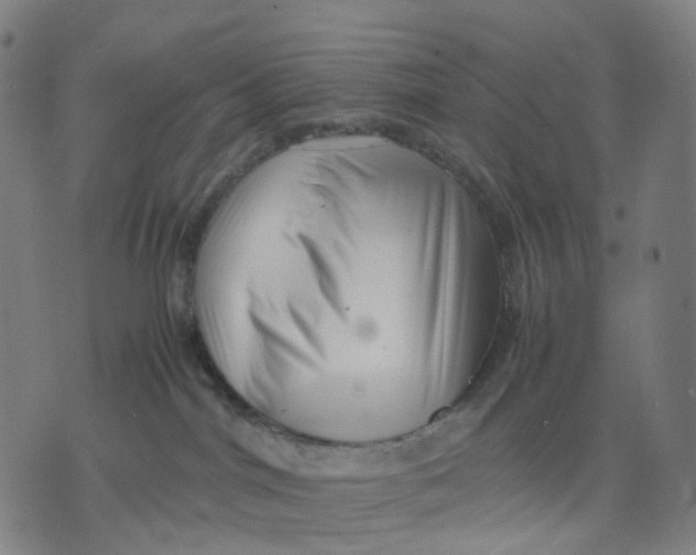 X0000071780044200607211608