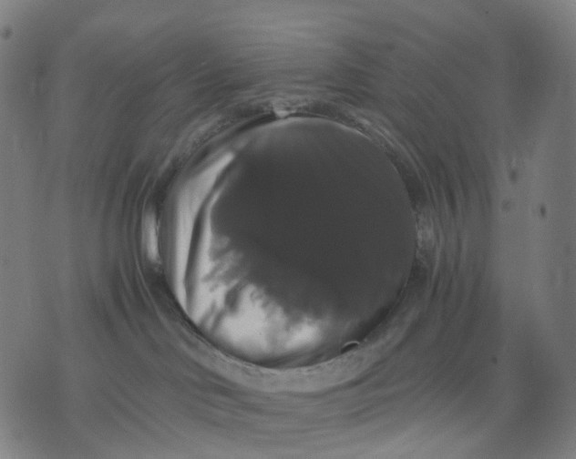 X0000071780046200607211608