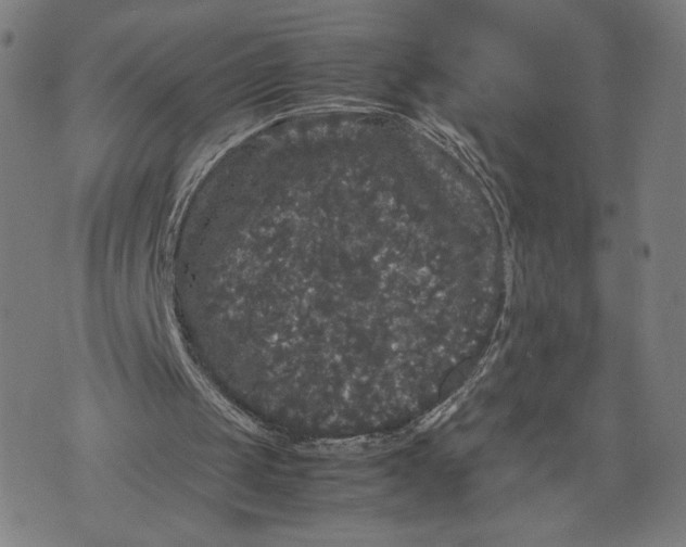 X0000071780049200607211607