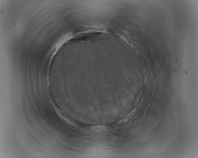 X0000071780050200607211607