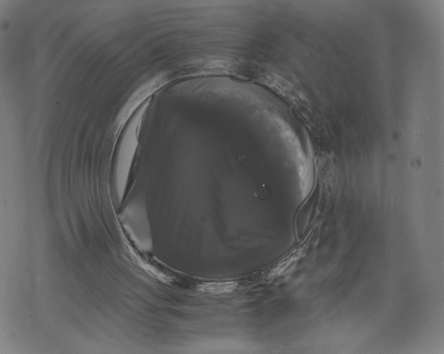 X0000071780051200607211607