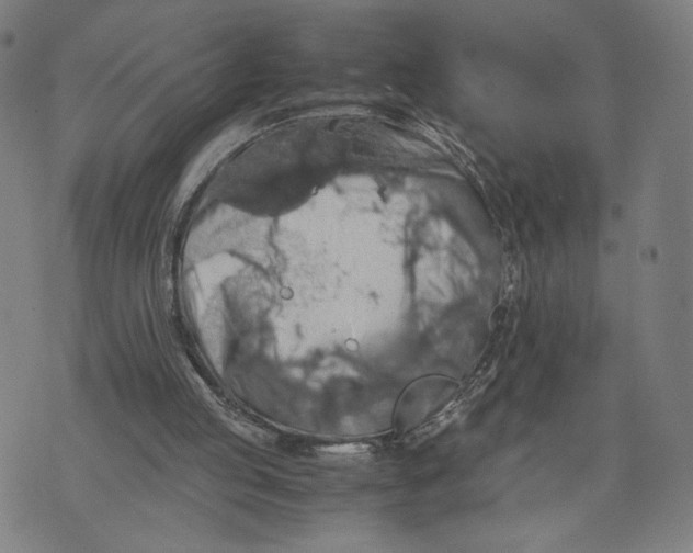 X0000071780053200607211607