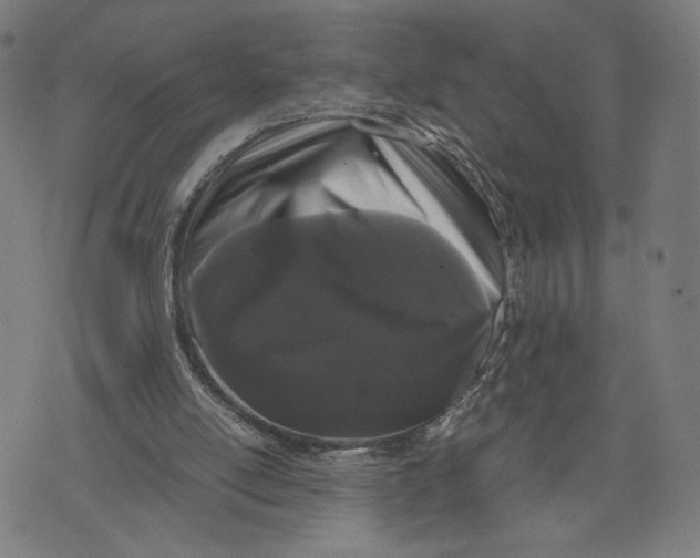 X0000071780054200607211607