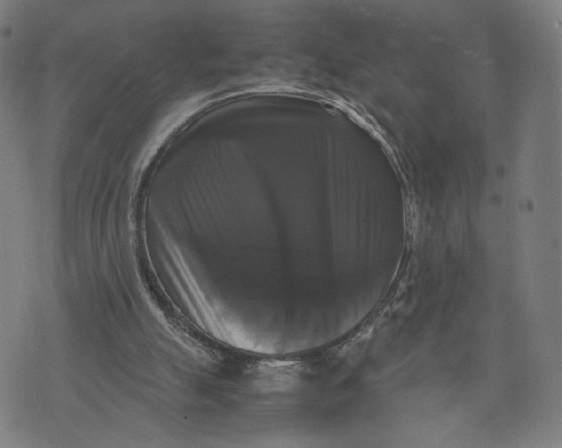 X0000071780055200607211607