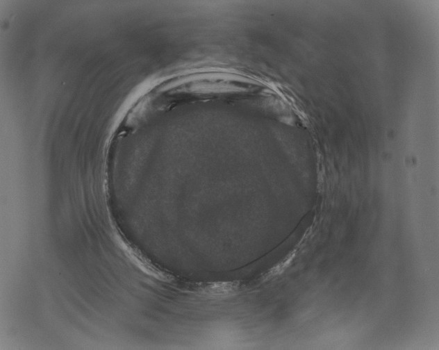 X0000071780056200607211607