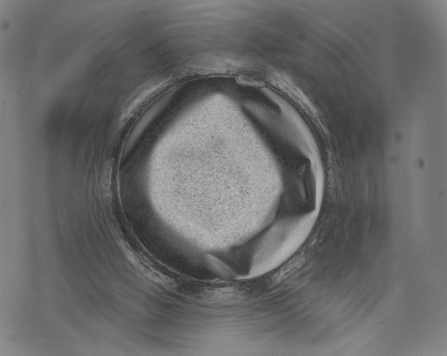 X0000071780058200607211607