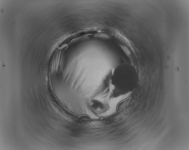 X0000071780059200607211607