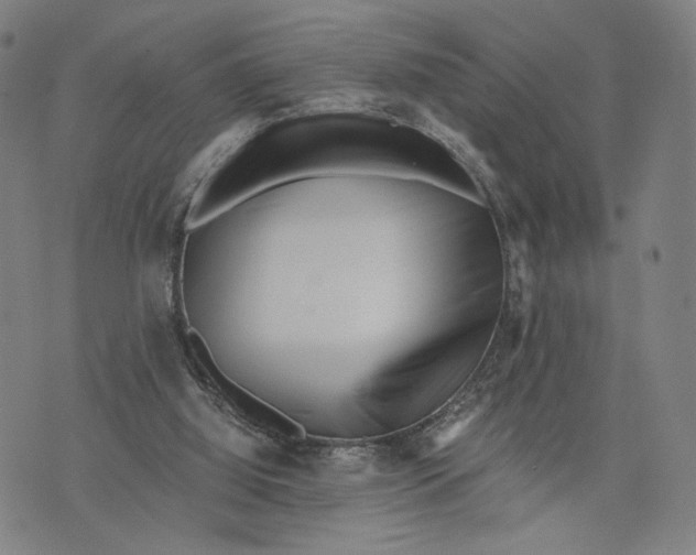 X0000071780060200607211607