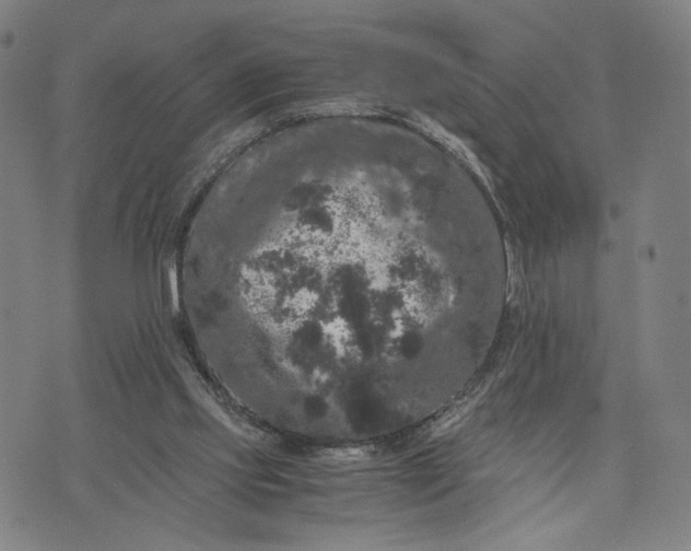 X0000071780061200607211607