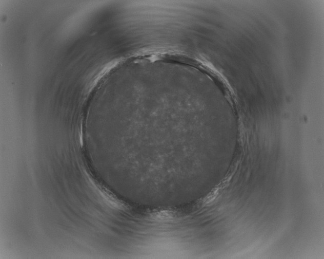 X0000071780062200607211607