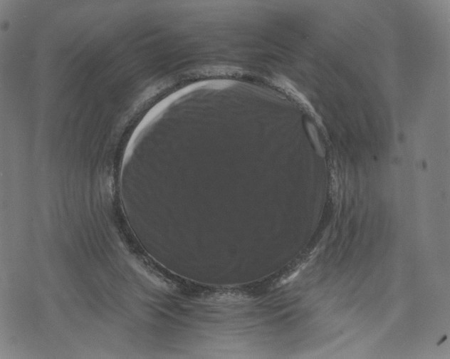 X0000071780063200607211607