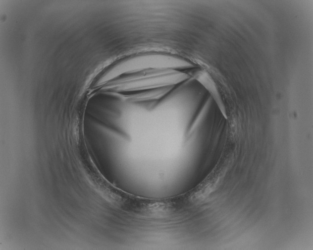 X0000071780064200607211607