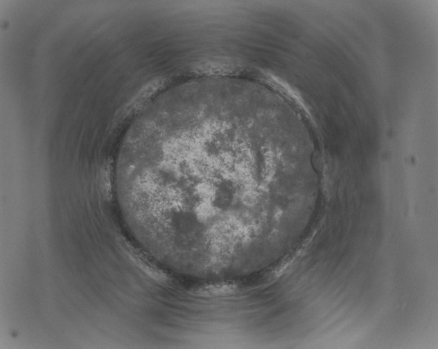 X0000071780065200607211607