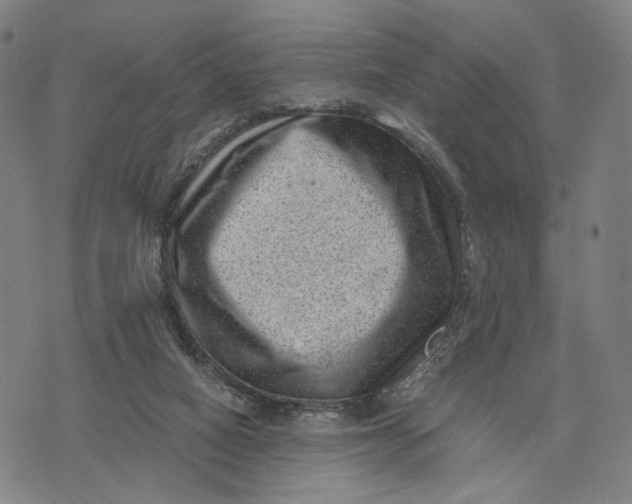 X0000071780066200607211607