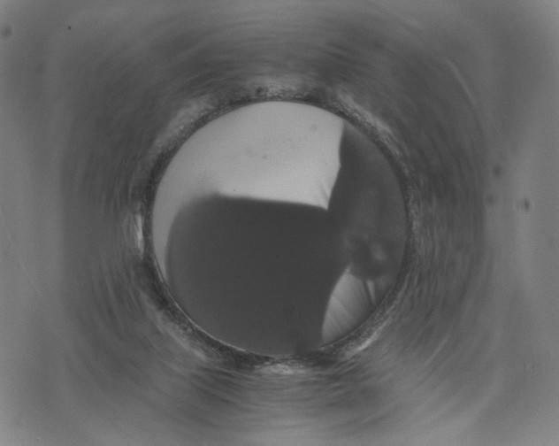 X0000071780067200607211607