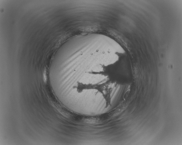 X0000071780069200607211607