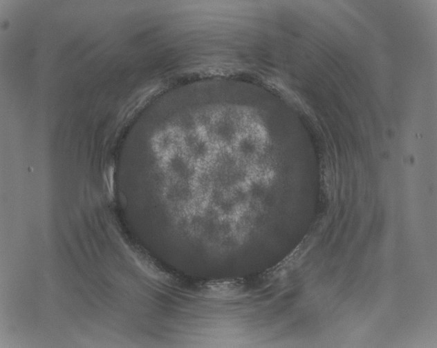 X0000071780070200607211607