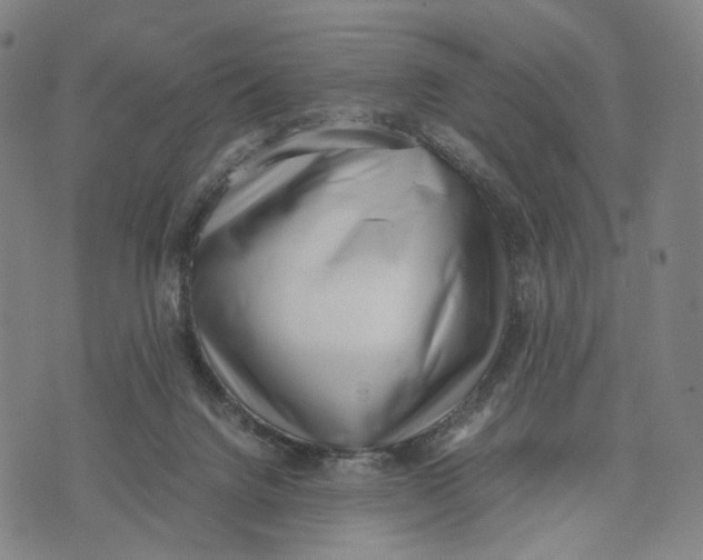 X0000071780072200607211607