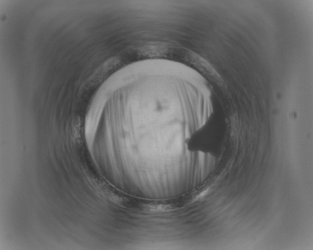 X0000071780073200607211607