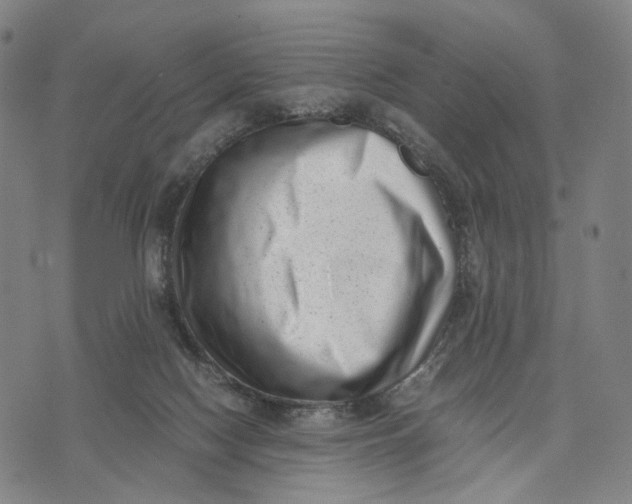 X0000071780074200607211607