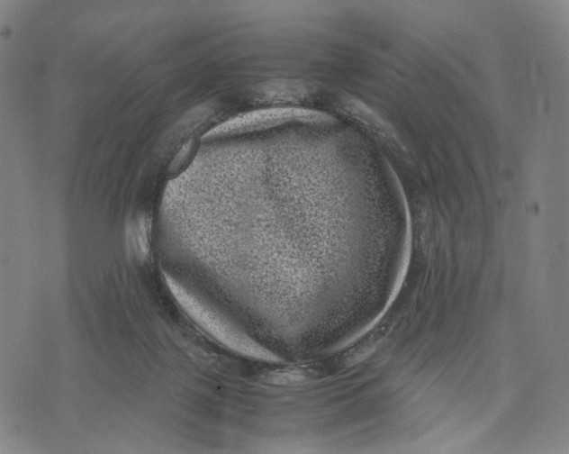 X0000071780075200607211607