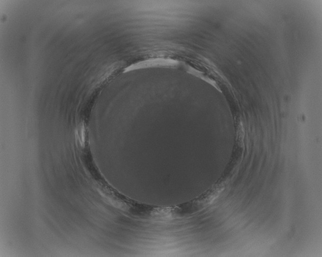 X0000071780076200607211607