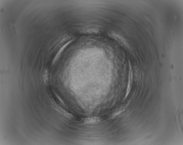 X0000071780077200607211607