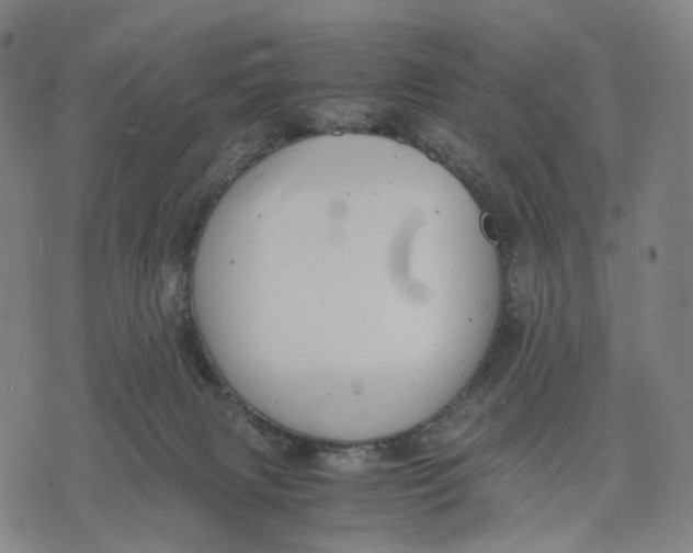 X0000071780079200607211607