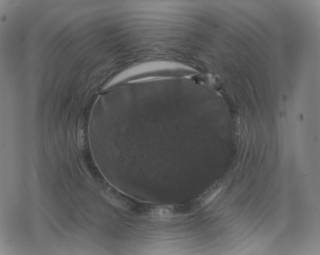 X0000071780080200607211607