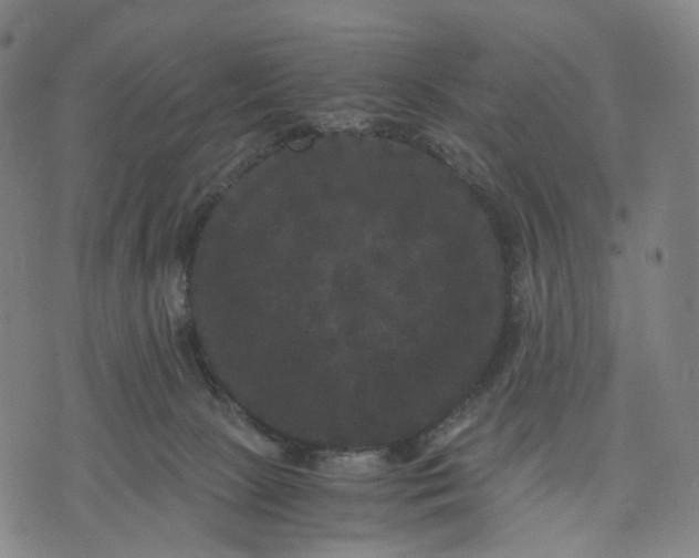 X0000071780081200607211608