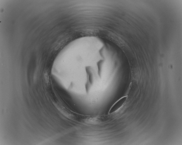 X0000071780086200607211608