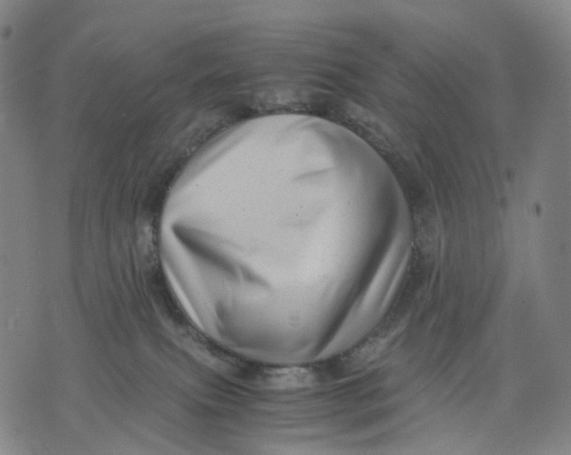 X0000071780087200607211608