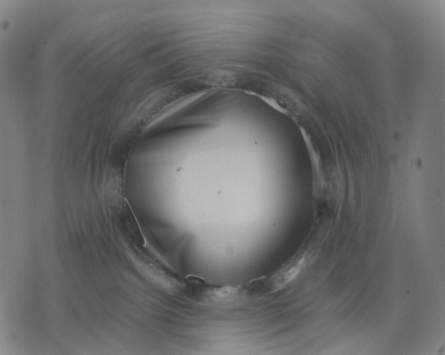 X0000071780092200607211608