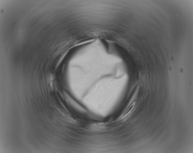 X0000071780094200607211608