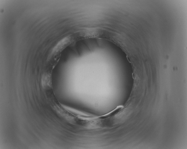 X0000071780096200607211608