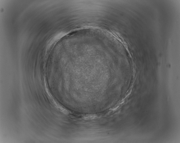 X0000071780097200607211607