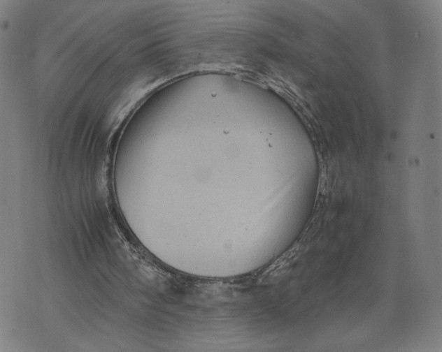 X0000071780098200607211607