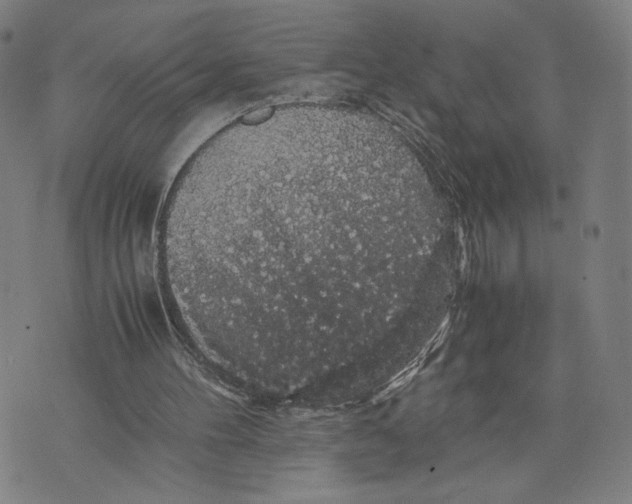 X0000071780100200607211607