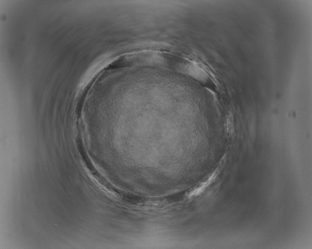 X0000071780101200607211607