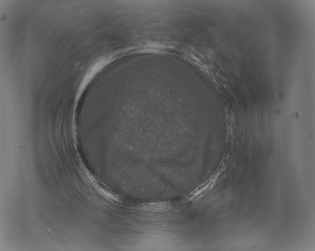 X0000071780102200607211607