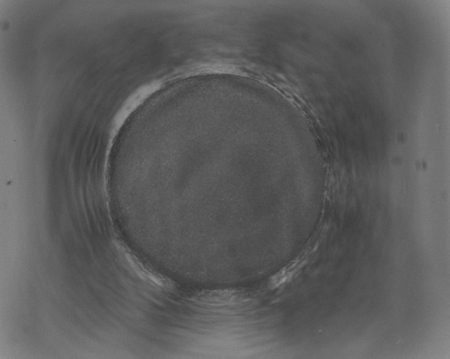 X0000071780104200607211607