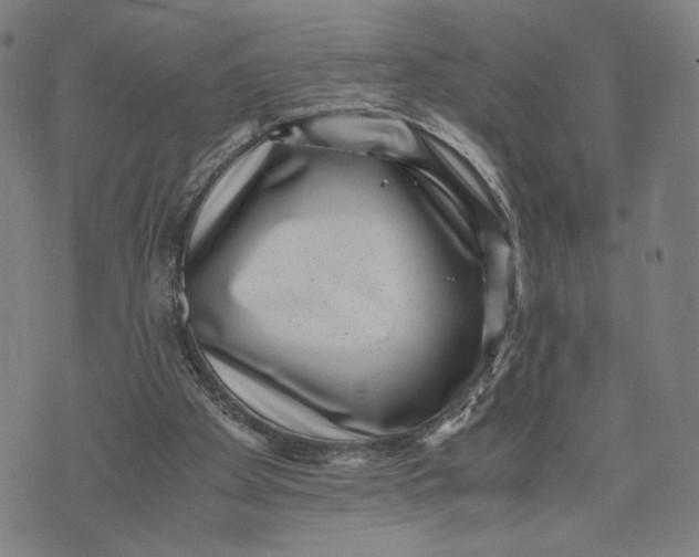 X0000071780105200607211607