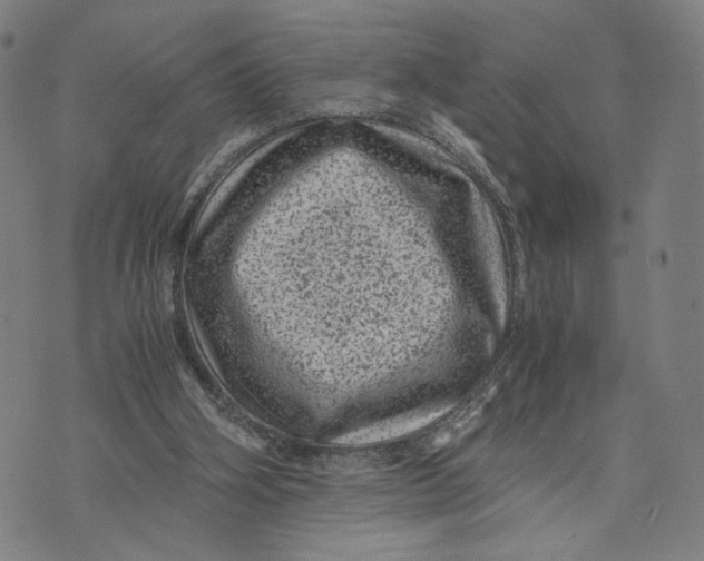 X0000071780106200607211607