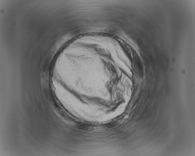 X0000071780107200607211607