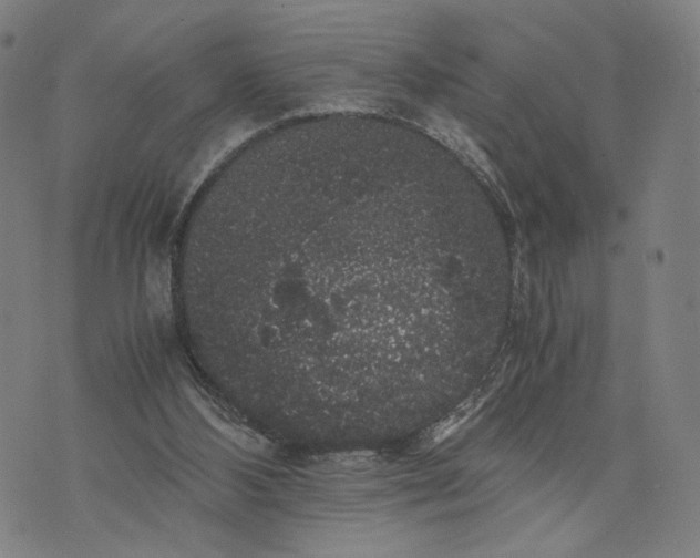 X0000071780108200607211607